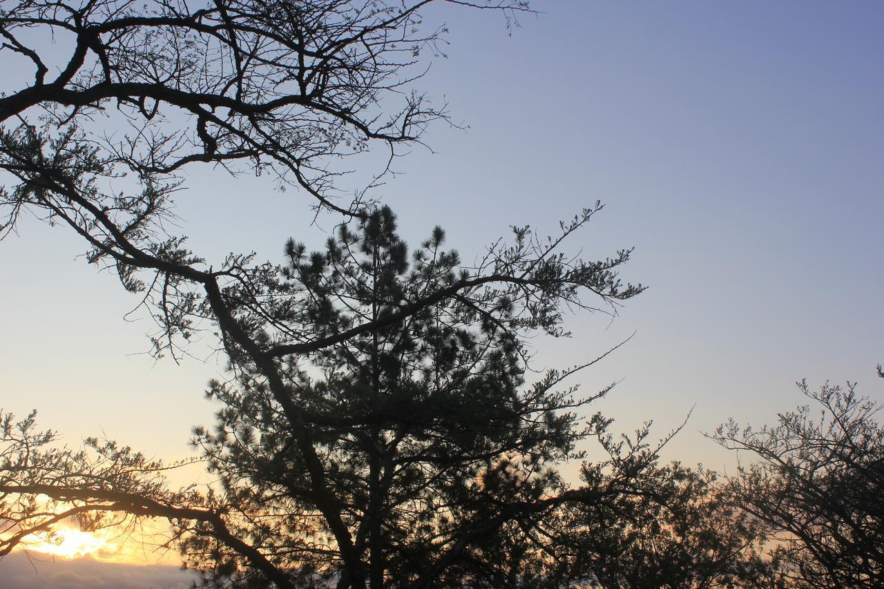 Acacia Bush Lodge Pietermaritzburg Εξωτερικό φωτογραφία